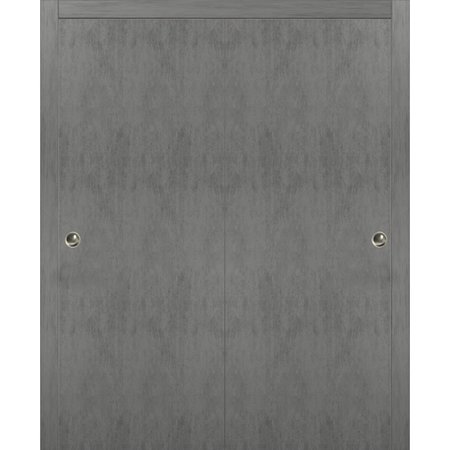 SARTODOORS Double Pocket Interior Door, Gray PLANUM0010DBD-BTN-5696